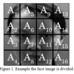 Figure 1. Example the face image is divided