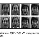 Figure5: Example CAS-PEAL-R1 images used in our experiments.