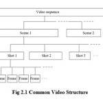 Fig 2.1 Common Video Structure