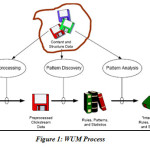 Figure 1: WUM Process
